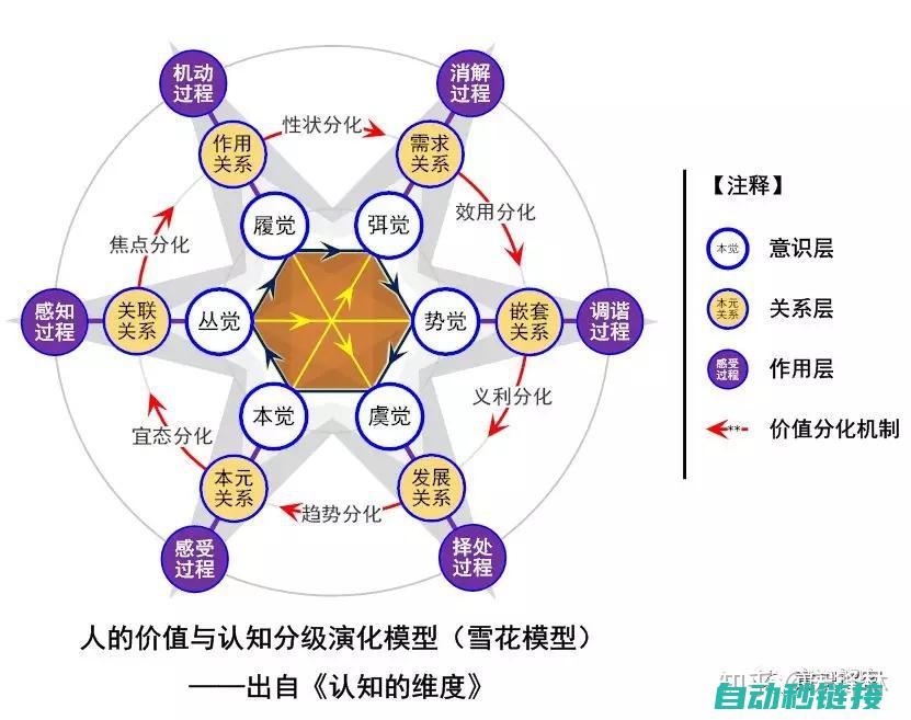 探究其种类与功能 (探究的种类)